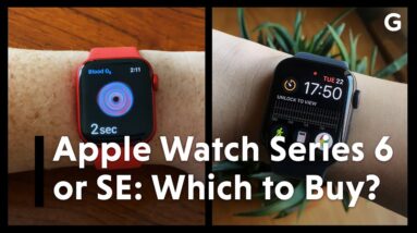 Apple Watch Series 6 vs. Apple Watch SE: Which Should You Buy?