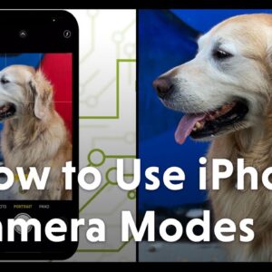 How to Take the Best Photos On Your iPhone