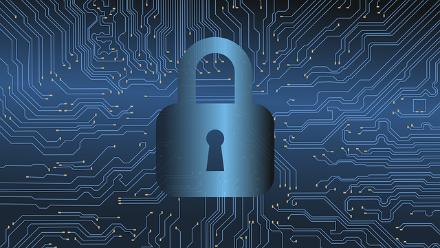 vulnerability in cyber security