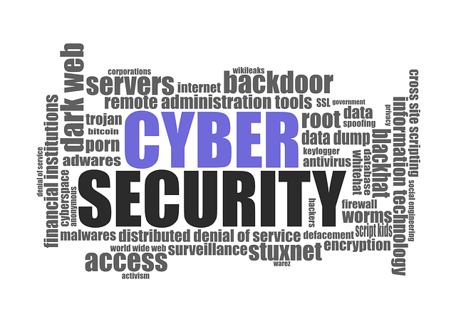 network security and cyber security