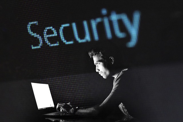 palo alto cyber security
